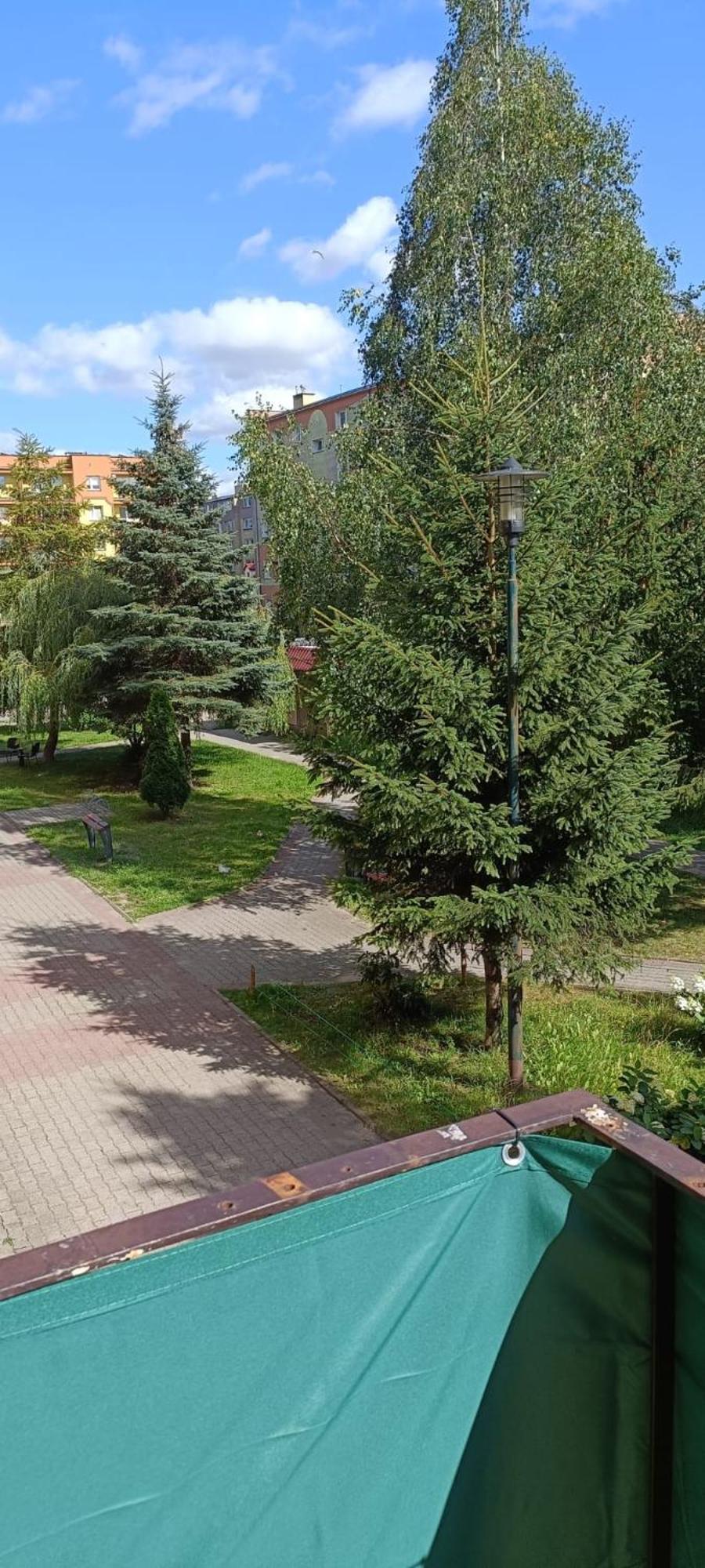 Kawalerka Gryf Apartment *