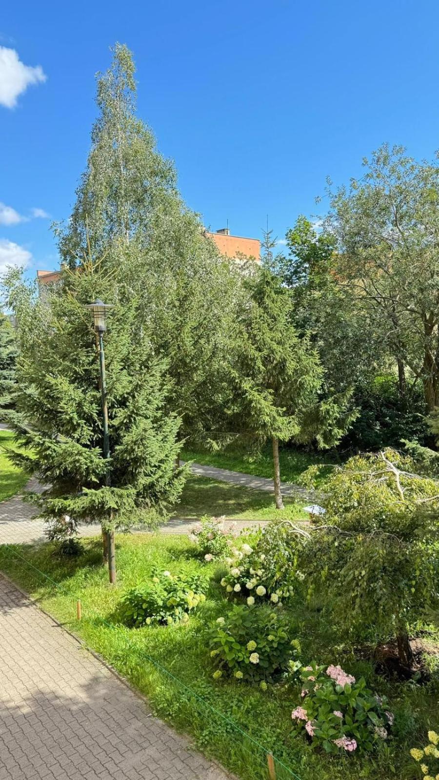 Kawalerka Gryf Apartment