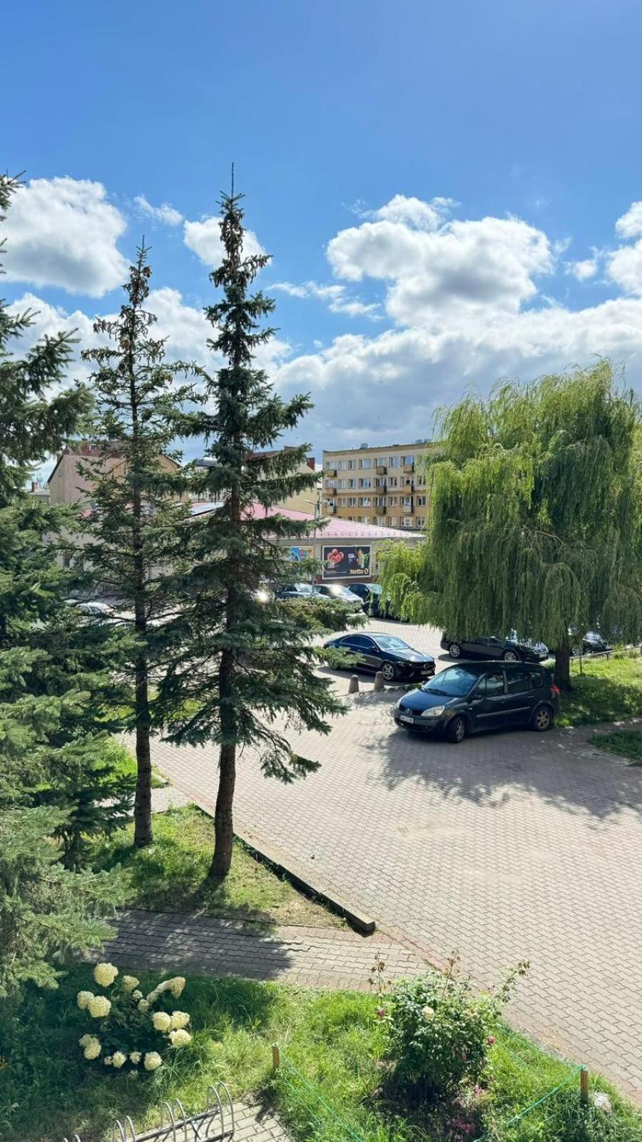 Kawalerka Gryf Apartment *